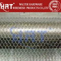 Anping hexagonal mesh 2