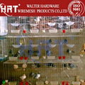 Welded mesh for cages (manufacturer) 1