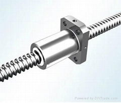 Mini Ball Screw