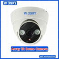 Array IR Dome Camera 1