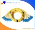 24 core SC Fiber optic patch cord