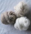 dehaired cashmere fibre(100% light grey)
