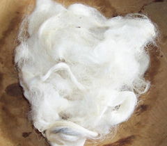 wool for wet felting