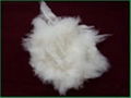 inner mongolian cashmere yarn