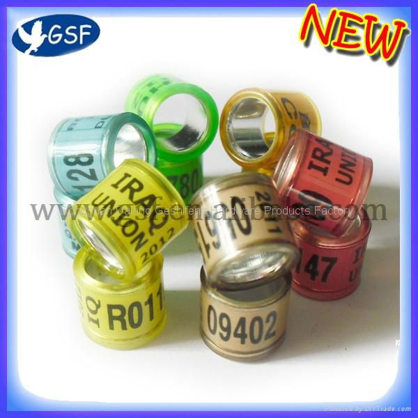 OEM plastic pigeon rings 2