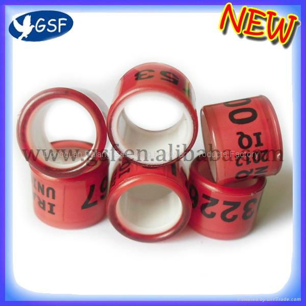 customer plastic pigeon rings 2