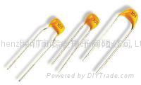 Radial Leads Multilayer Ceramic Capacitors