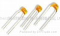 Radial Leads Multilayer Ceramic Capacitors 1