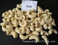 Cashew Nuts