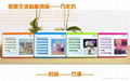 Magic Calendar Photo Frame 1