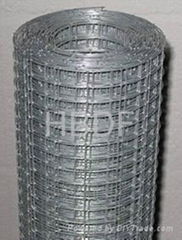 stainless steel welded wire mesh