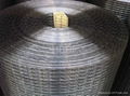 galvanized welded wire mesh