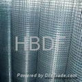 hot-dipped galvanized welded wire mesh