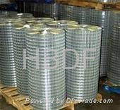 hot-dipped galvanized welded wire mesh 4