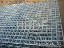 hot-dipped galvanized welded wire mesh 5