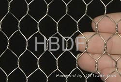 hexagonal mesh