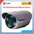 P2P IP Camera with 2 Mega Pxiel 1080P