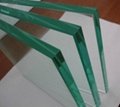 Tempered Glass Flat and Curved 2