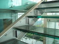 Laminated Glass 3