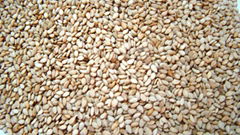 sesame seeds 