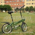 Joydeer Electric Bicycle