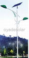 solar street lamp 3