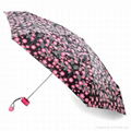 foldable umbrella  1