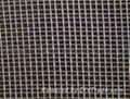 Zirconium Mesh 2