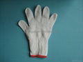 Good Quality White Cotton Gloves 2