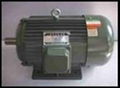 Three-phase asynchronous electric motor