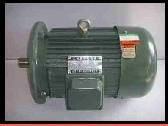 Vertical electric motors