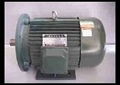 Horizontal electric motors