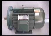 Horizontal electric motors