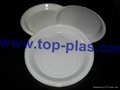Disposable Plastic Plaste 2