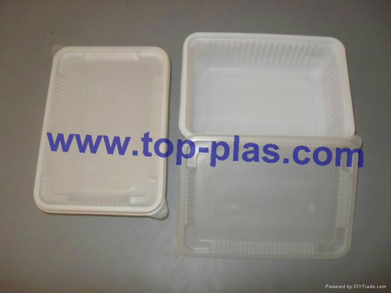 Plastic Lunch Box 2