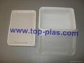 Plastic Lunch Box 2