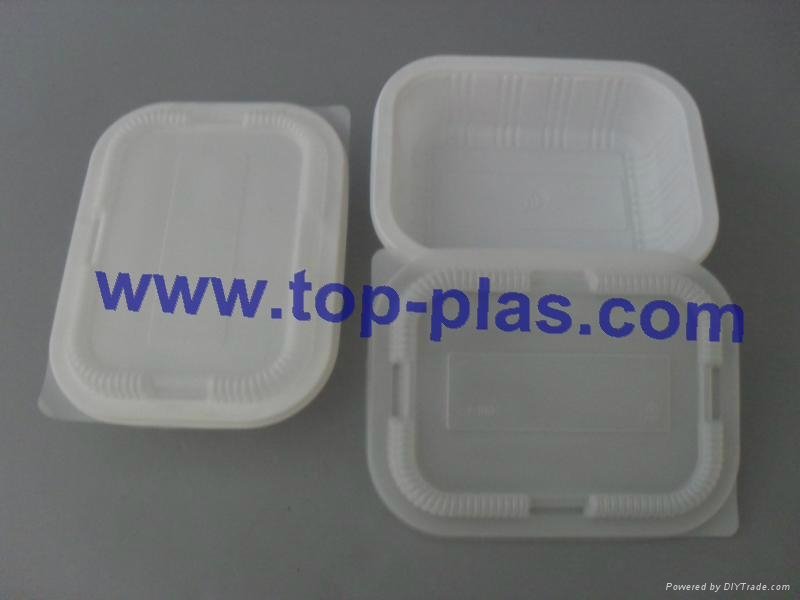 Plastic Lunch Box 3
