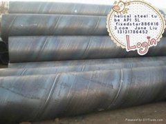 China SSAW Steel Pipe