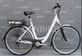 electric bike rode