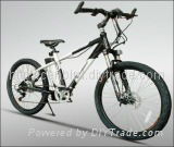 electric bike mountain