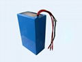 48V 20Ah lithium battery pack 1