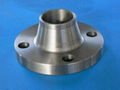 Flanges---Forged Carbon Steel Welding Neck Flange