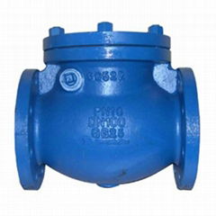 Valve---Cast Iron & Ductile Iron Check Valve