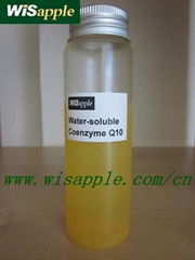 Water-soluble Coenzyme Q10