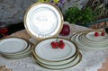 high quality bone china dishes 4