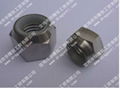 titanium hexagon nuts 1