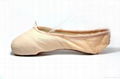 Dttrol Practice canvas dance ballet Pointe Shoes for dance wear (D005861) 1