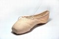 Dttrol Practice canvas dance ballet Pointe Shoes for dance wear (D005861) 2