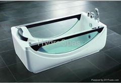 Portable indoor jacuzzi/Massage bathtub 