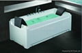 new design bathtub SR511  1